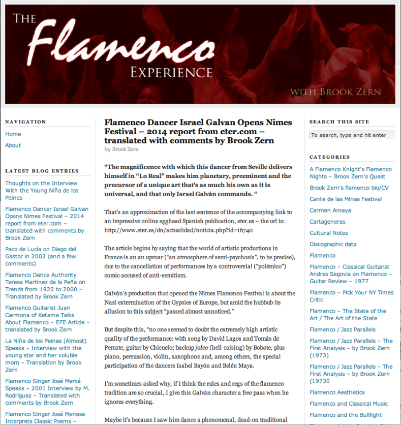 Flamenco experience